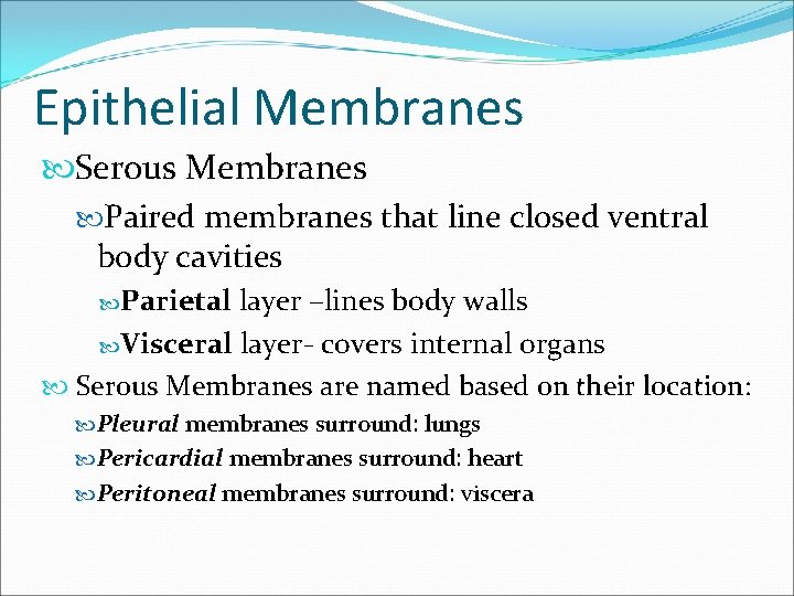 Epithelial Membranes Serous Membranes Paired membranes that line closed ventral body cavities Parietal layer Epithelial Membranes Serous Membranes Paired membranes that line closed ventral body cavities Parietal layer
