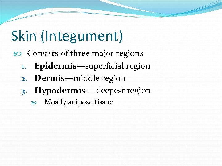 Skin (Integument) Consists of three major regions 1. Epidermis—superficial region 2. Dermis—middle region 3.