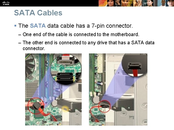 SATA Cables § The SATA data cable has a 7 -pin connector. – One