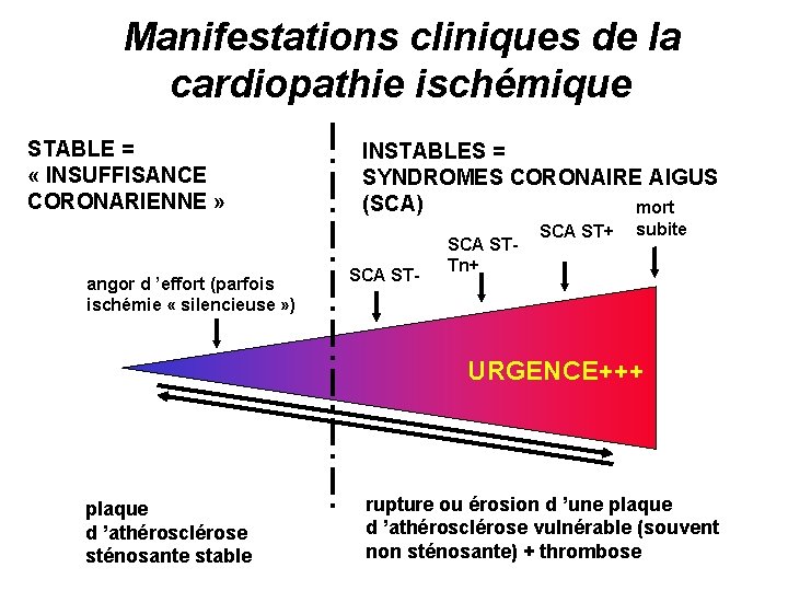 Manifestations cliniques de la cardiopathie ischémique STABLE = « INSUFFISANCE CORONARIENNE » angor d