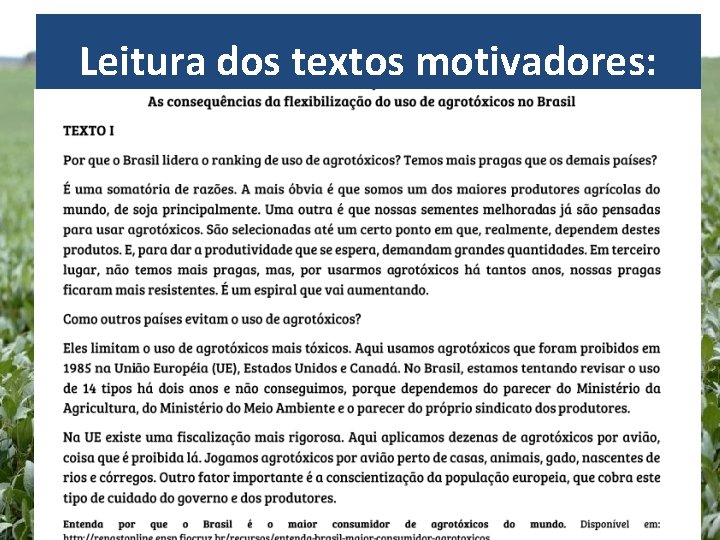 Leitura dos textos motivadores: 