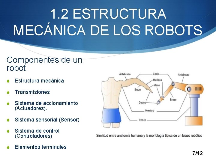 1. 2 ESTRUCTURA MECÁNICA DE LOS ROBOTS Componentes de un robot: S Estructura mecánica