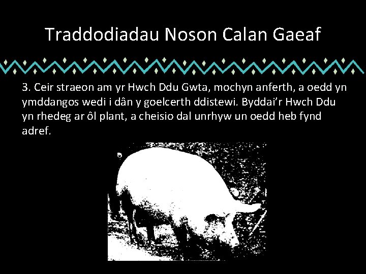 Traddodiadau Noson Calan Gaeaf 3. Ceir straeon am yr Hwch Ddu Gwta, mochyn anferth,