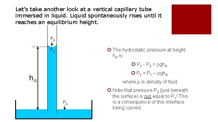 Let’s take another look at a vertical capillary tube immersed in liquid. Liquid spontaneously