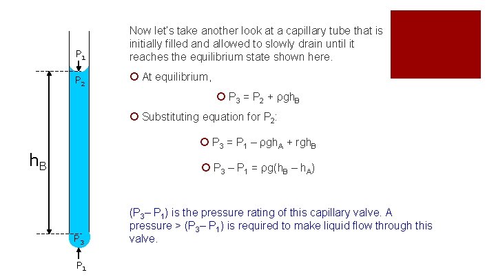 P 1 Now let’s take another look at a capillary tube that is initially