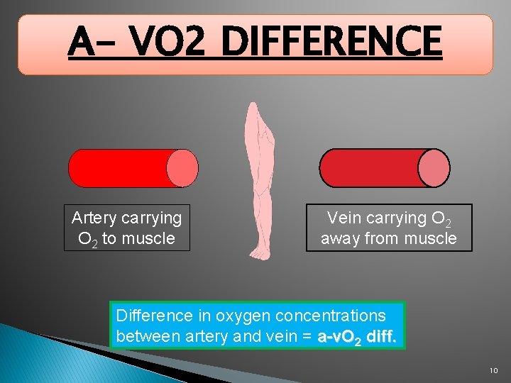 A- VO 2 DIFFERENCE Artery carrying O 2 to muscle Vein carrying O 2