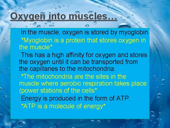 Oxygen into muscles… In the muscle, oxygen is stored by myoglobin. � *Myoglobin is