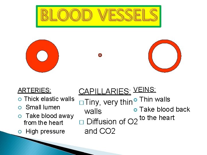 BLOOD VESSELS ARTERIES: CAPILLARIES: VEINS: Thick elastic walls Thin walls � Tiny, very thin