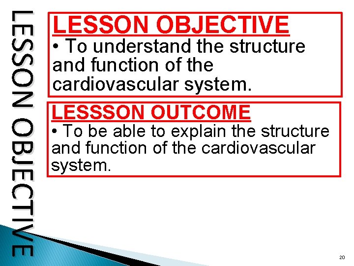 LESSON OBJECTIVE • To understand the structure and function of the cardiovascular system. LESSSON