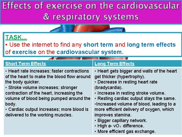 Effects of exercise on the cardiovascular & respiratory systems TASK. . . • Use