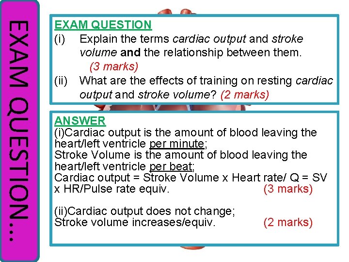 EXAM QUESTION. . . EXAM QUESTION (i) Explain the terms cardiac output and stroke