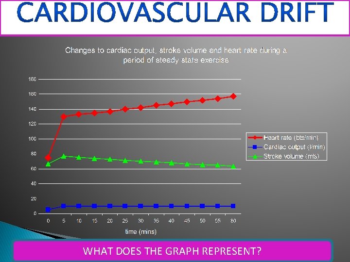 WHAT DOES THE GRAPH REPRESENT? 46 