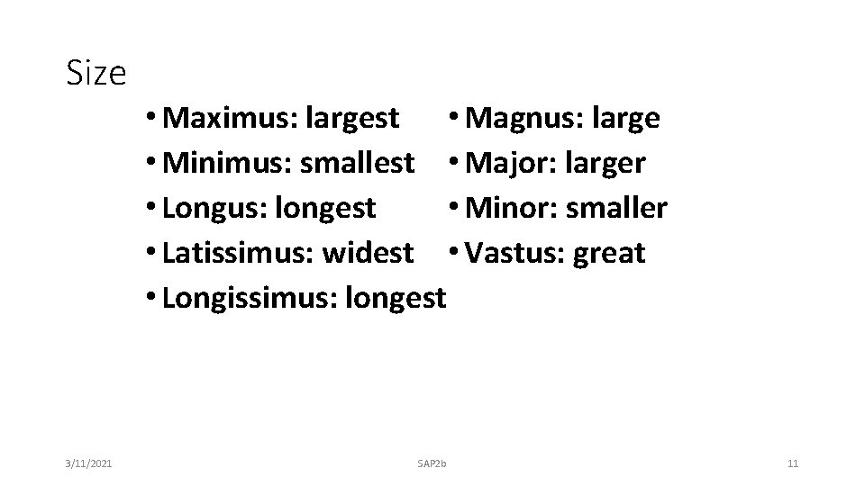 Size • Maximus: largest • Magnus: large • Minimus: smallest • Major: larger •