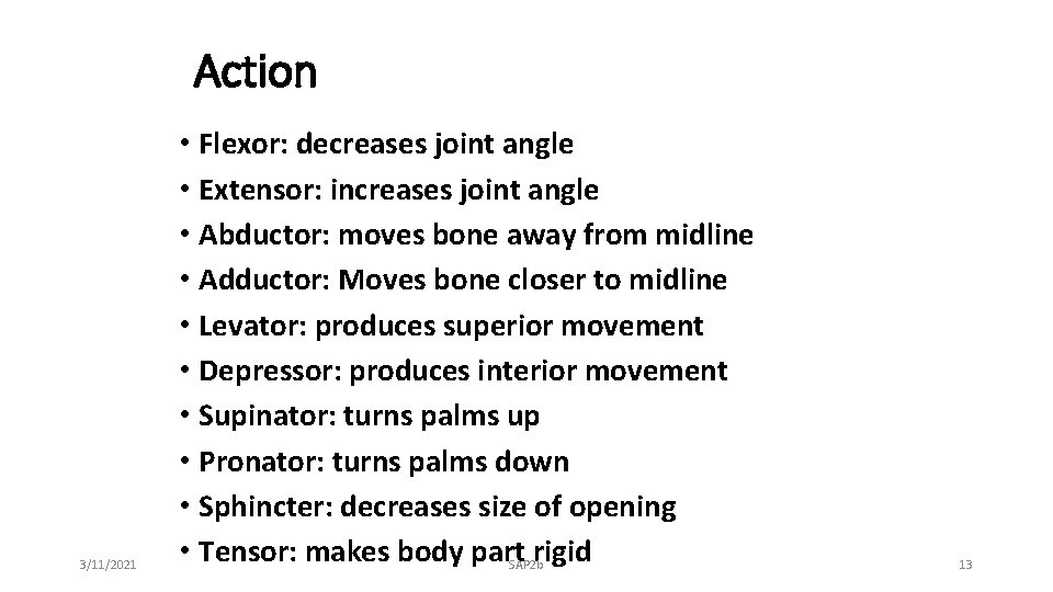 Action 3/11/2021 • Flexor: decreases joint angle • Extensor: increases joint angle • Abductor: