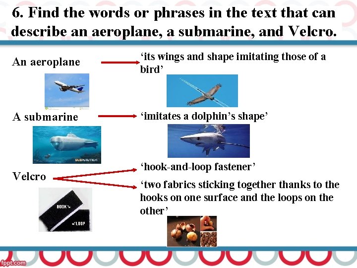 6. Find the words or phrases in the text that can describe an aeroplane,