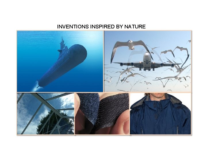 INVENTIONS INSPIRED BY NATURE • Objectives By the end of the lesson, students will