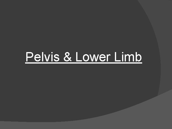 Pelvis & Lower Limb 