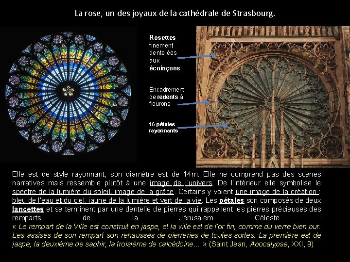 La rose, un des joyaux de la cathédrale de Strasbourg. Rosettes finement dentelées aux