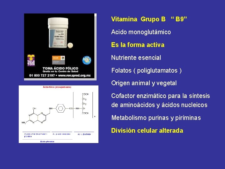 Vitamina Grupo B “ B 9” Acido monoglutámico Es la forma activa Nutriente esencial