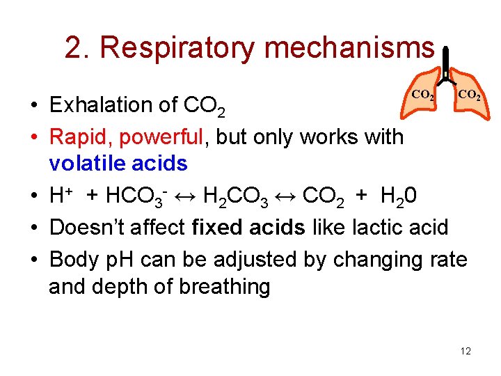 2. Respiratory mechanisms CO 2 • Exhalation of CO 2 • Rapid, powerful, but
