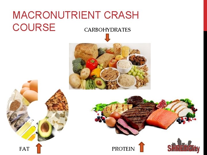 MACRONUTRIENT CRASH COURSE CARBOHYDRATES FAT PROTEIN 