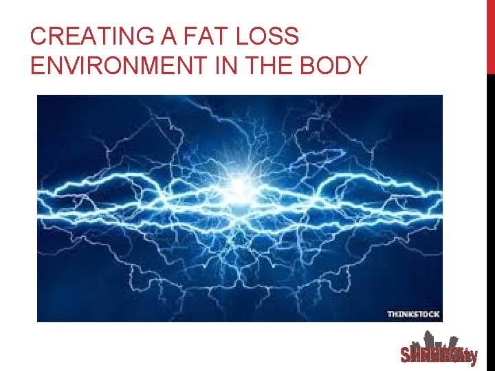 CREATING A FAT LOSS ENVIRONMENT IN THE BODY 