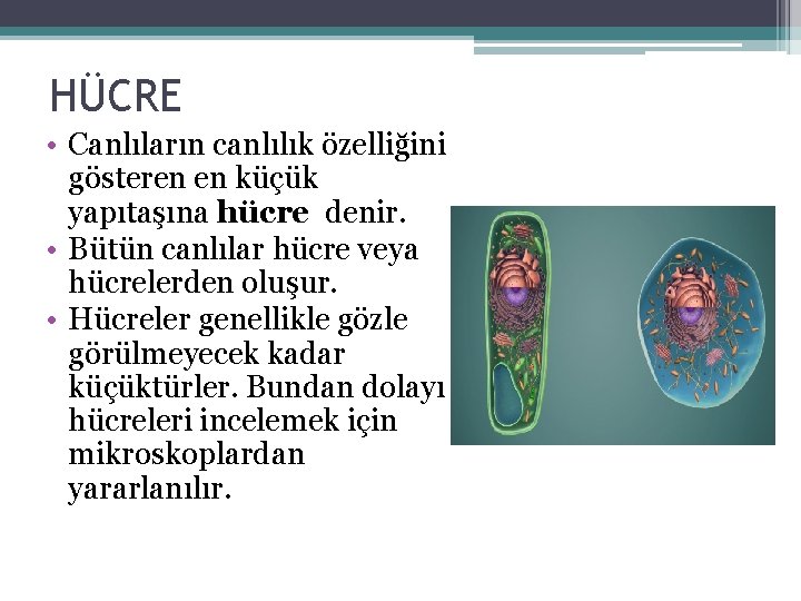 HÜCRE • Canlıların canlılık özelliğini gösteren en küçük yapıtaşına hücre denir. • Bütün canlılar