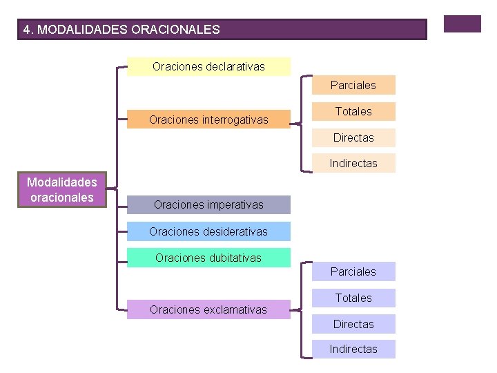 4. MODALIDADES ORACIONALES Oraciones declarativas Parciales Oraciones interrogativas Totales Directas Indirectas Modalidades oracionales Oraciones
