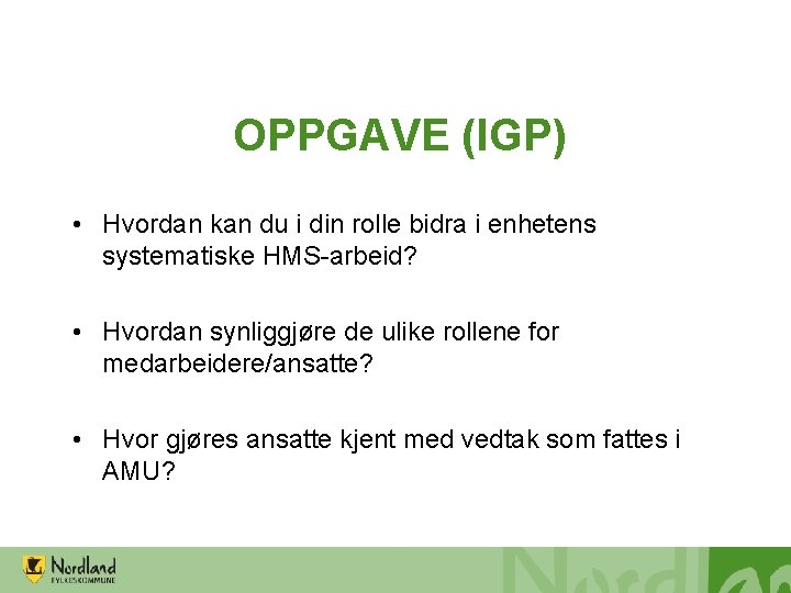 OPPGAVE (IGP) • Hvordan kan du i din rolle bidra i enhetens systematiske HMS-arbeid?