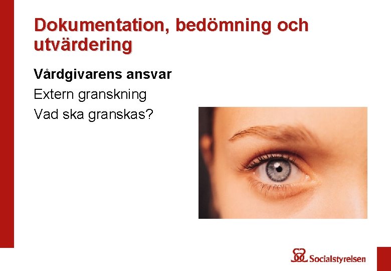 Dokumentation, bedömning och utvärdering Vårdgivarens ansvar Extern granskning Vad ska granskas? 