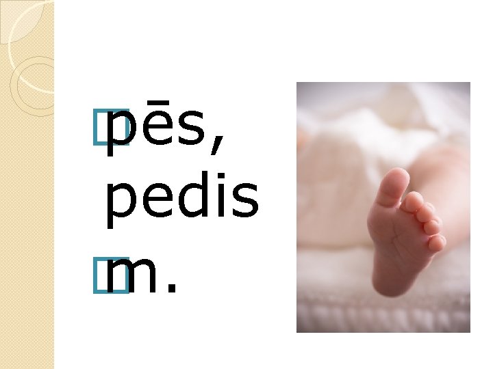 � pēs, pedis � m. 