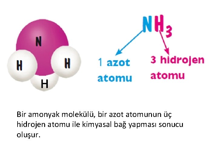Bir amonyak molekülü, bir azot atomunun üç hidrojen atomu ile kimyasal bağ yapması sonucu
