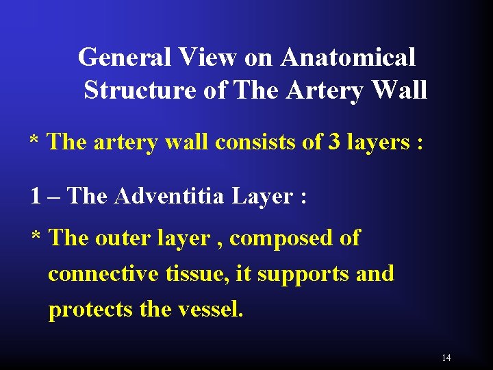 General View on Anatomical Structure of The Artery Wall * The artery wall consists