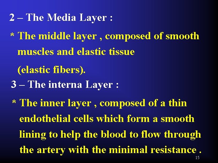 2 – The Media Layer : * The middle layer , composed of smooth