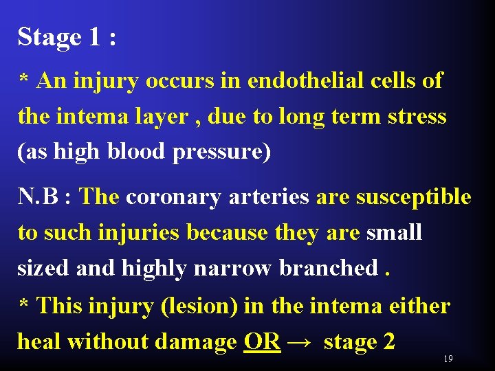 Stage 1 : * An injury occurs in endothelial cells of the intema layer