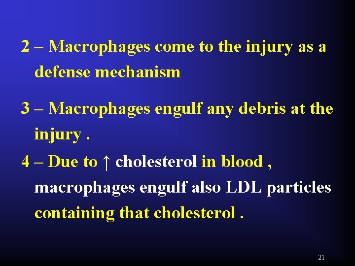 2 – Macrophages come to the injury as a defense mechanism 3 – Macrophages