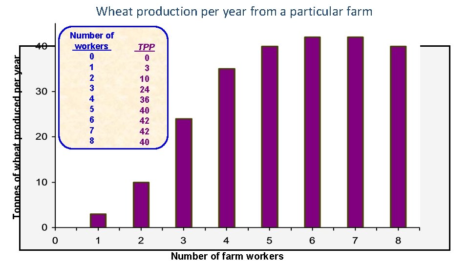 Tonnes of wheat produced per year Wheat production per year from a particular farm