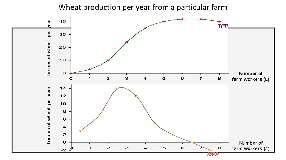 TPP Number of farm workers (L) Tonnes of wheat per year Wheat production per