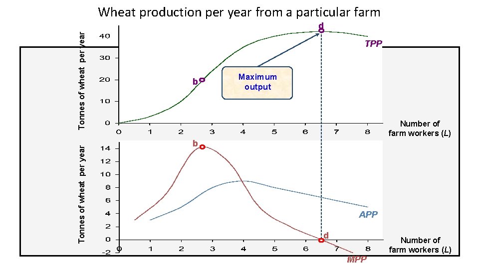 Wheat production per year from a particular farm Tonnes of wheat per year d