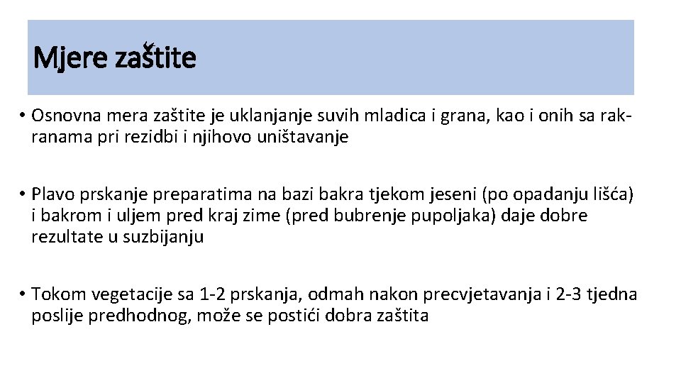 Mjere zaštite • Osnovna mera zaštite je uklanjanje suvih mladica i grana, kao i