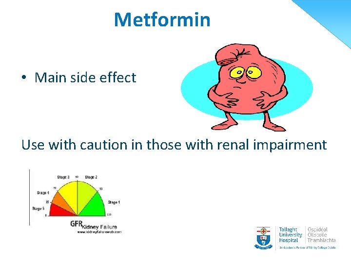 Metformin • Main side effect Use with caution in those with renal impairment 
