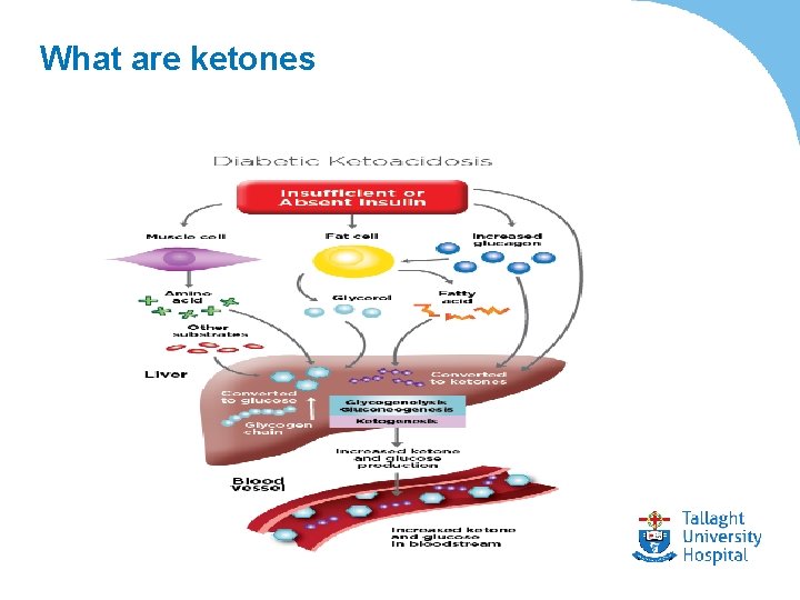 What are ketones 