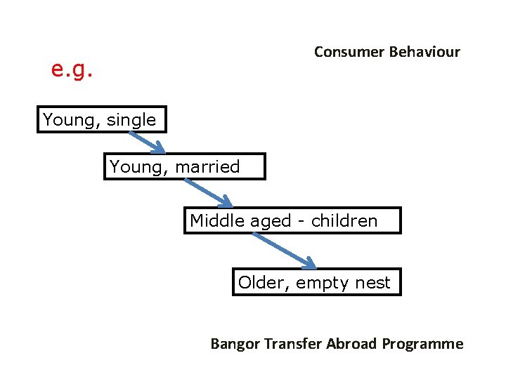 Consumer Behaviour e. g. Young, single Young, married Middle aged - children Older, empty