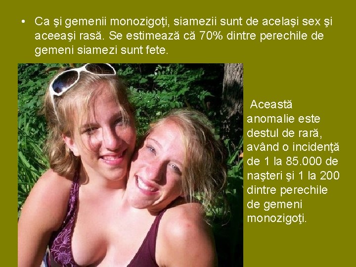 • Ca şi gemenii monozigoţi, siamezii sunt de acelaşi sex şi aceeaşi rasă. • Ca şi gemenii monozigoţi, siamezii sunt de acelaşi sex şi aceeaşi rasă.