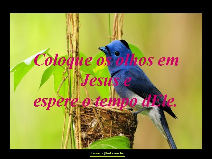 Coloque os olhos em Jesus e espere o tempo d. Ele. lauro. x@bol. com.