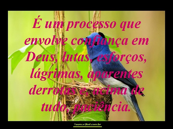 É um processo que envolve confiança em Deus, lutas, esforços, lágrimas, aparentes derrotas e,