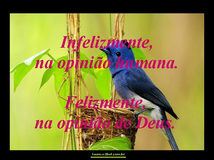 Infelizmente, na opinião humana. Felizmente, na opinião de Deus. lauro. x@bol. com. br 