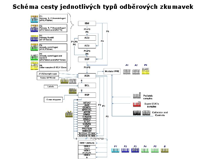 Schéma cesty jednotlivých typů odběrových zkumavek 