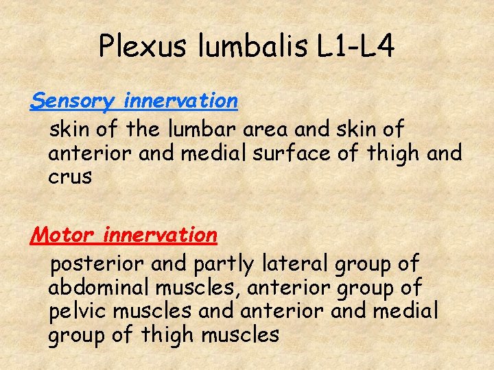 Plexus lumbalis L 1 -L 4 Sensory innervation skin of the lumbar area and