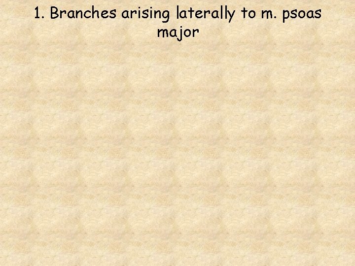 1. Branches arising laterally to m. psoas major 